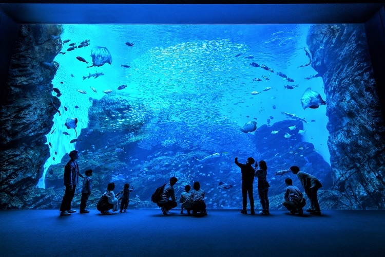 仙台海洋森林水族館